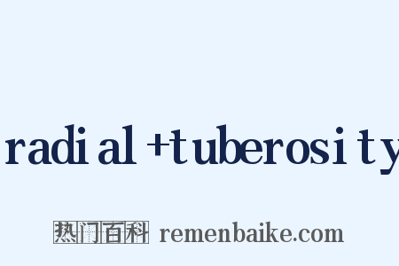radial+tuberosity是什么意思的图片